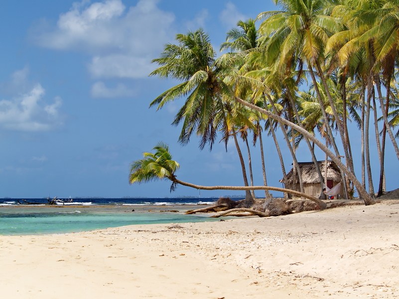 Playa y palmeras