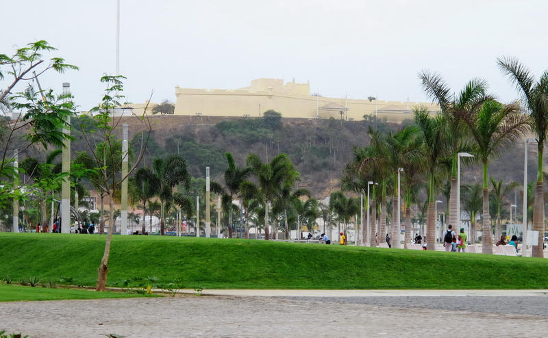 Palmeras recién plantadas con la Fortaleza de Sao Miguel al fondo.