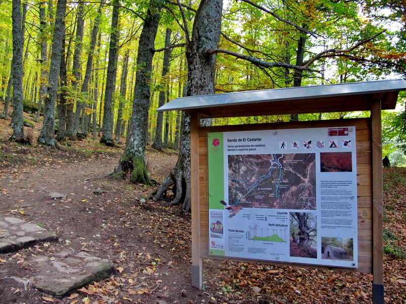 Acceso a la Senda del Castañar desde El Regajo