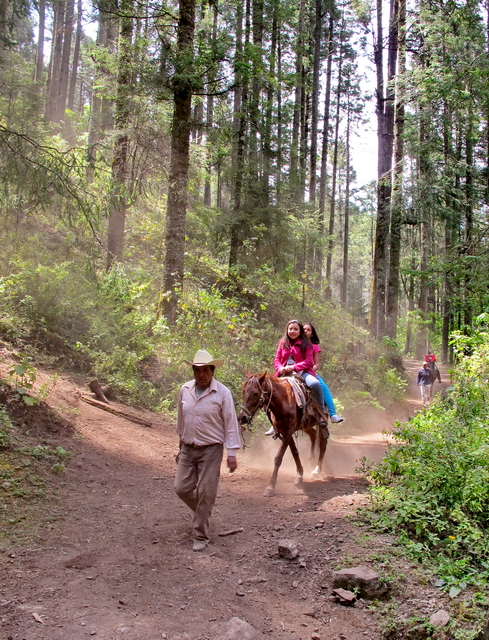 Visitantes a caballo por Sierra Chincua