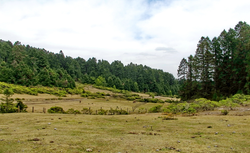 Sierra Chincua, Michoacán