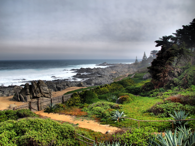 Paisaje oceánico de Isla Negra