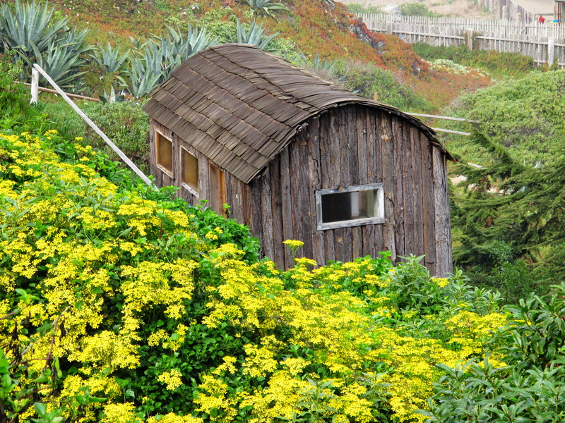 La cabaña de Isla Negra