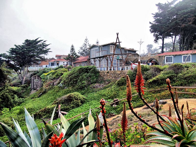 Isla Negra desde la playa