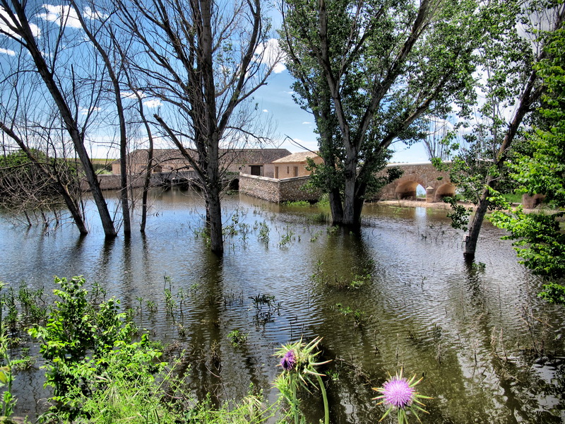 El Guadiana y el Molino de Molemocho