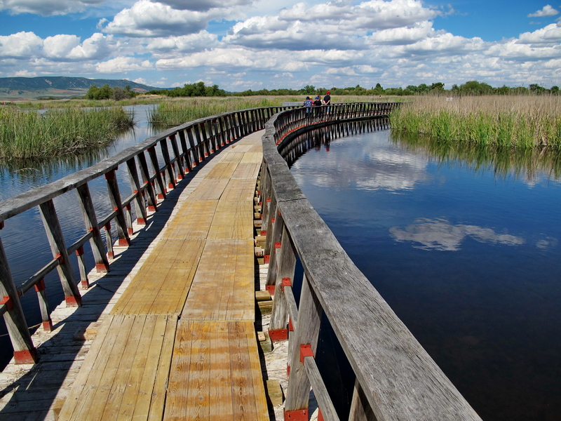 Tablas de Daimiel 5