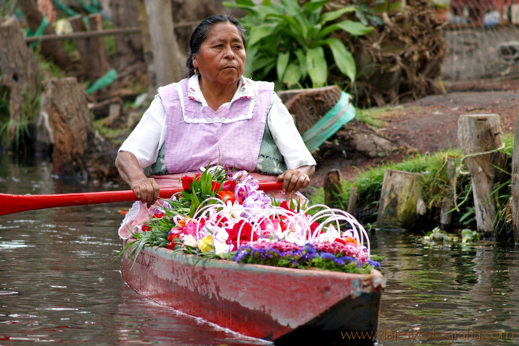 Xochimilco viajesyfotografia 5723