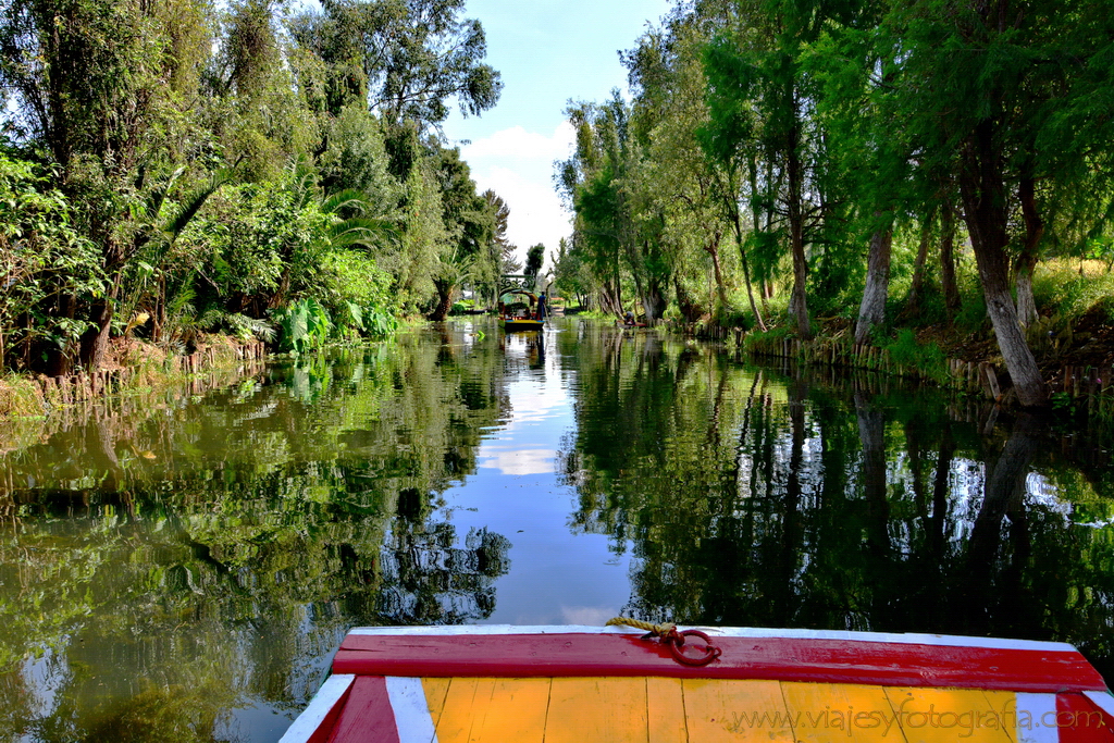 Xochimilco viajesyfotografia 05