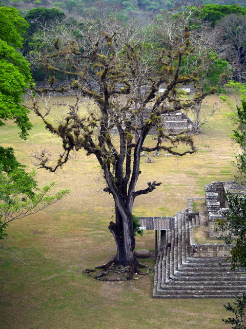 Ruinas de Copán