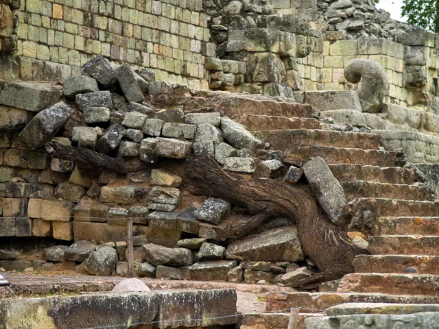 Ruinas en Copán 6