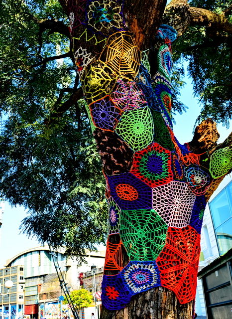 Árbol decorado en La Boca