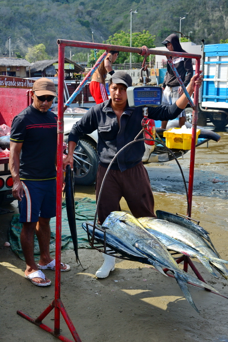 Pesando el pescado en Puerto López