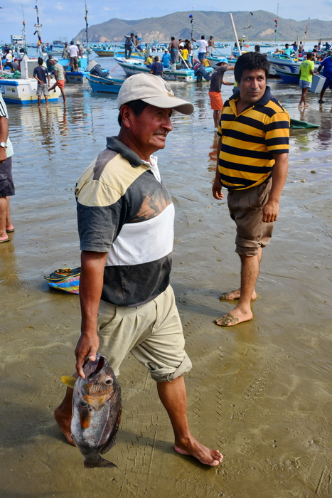 Descarga del pescado en Puerto López 16