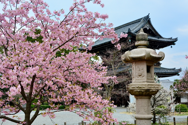 Templo Seiryo ji 2