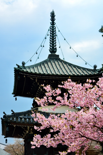 Pagoda en el Seiryo ji