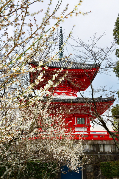 Templo Daikoku ji 9