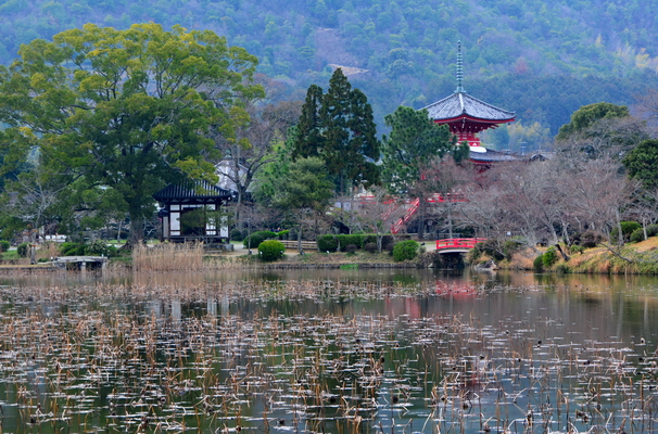 Templo Daikoku ji 8