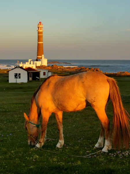 Cabo Polonio 25