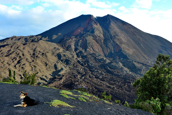 Volcan Pacaya 8