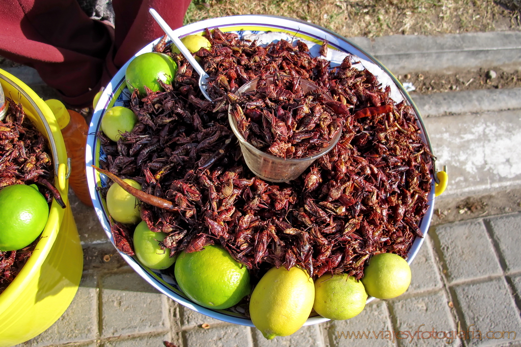 Chapulines en Cholula