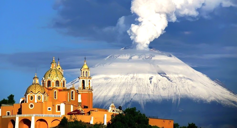 Cholula A305.900