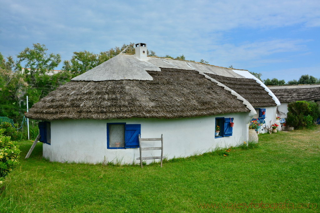 La Camargue 02