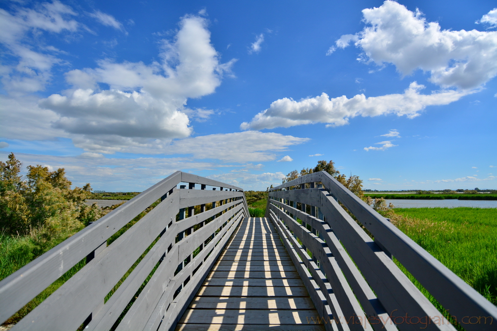 La Camargue 40