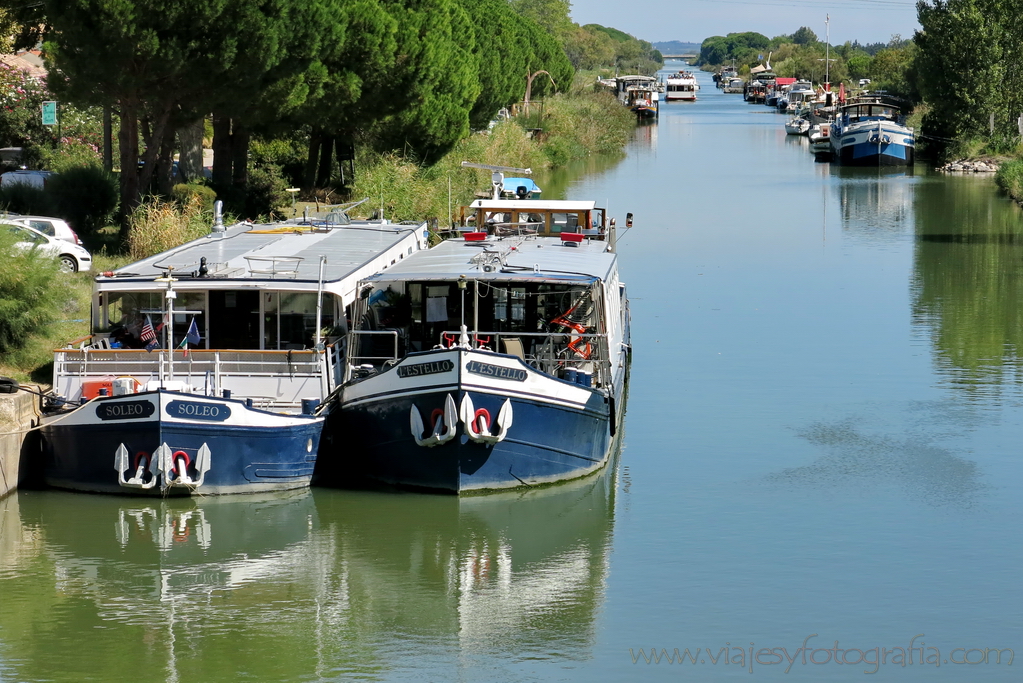 Aigues Mortes. La Camargue 49