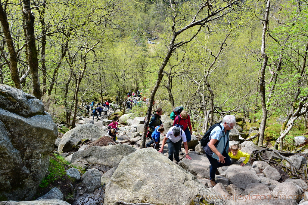 Preikestolen 6078