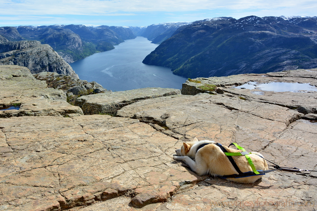 Prekestolen 5890