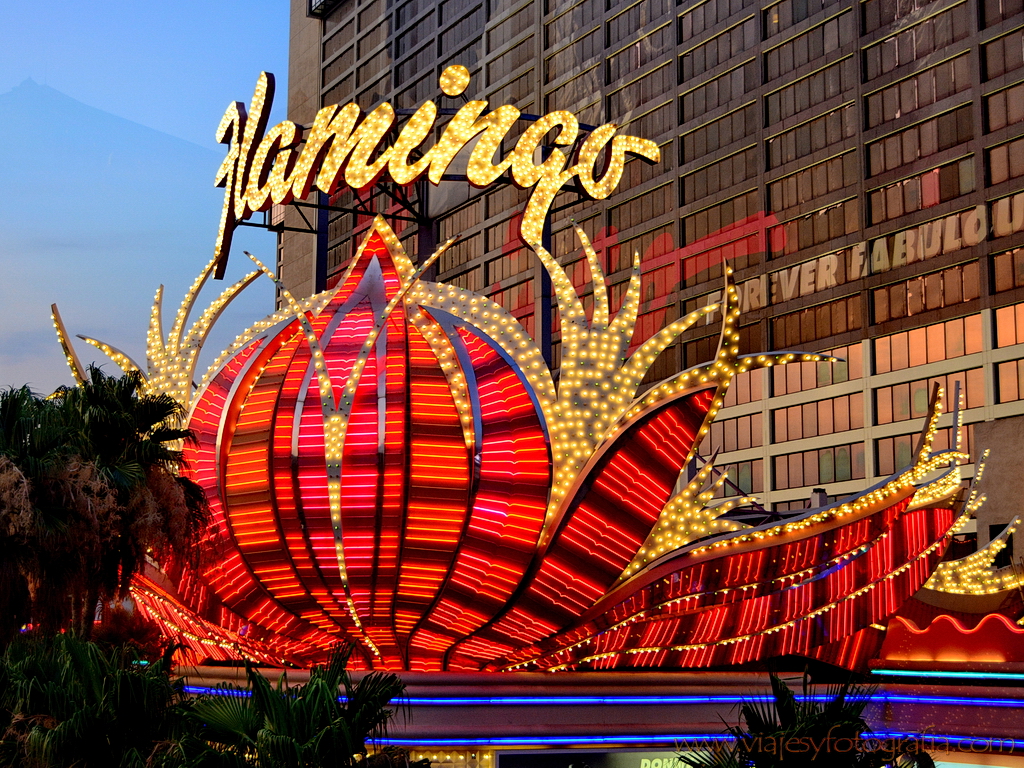 Las Vegas Flamingo 3448