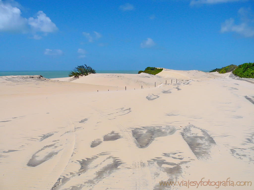 Dunas y Playas 1000457