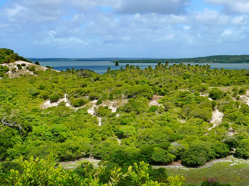 Tibau do Sul 10004589