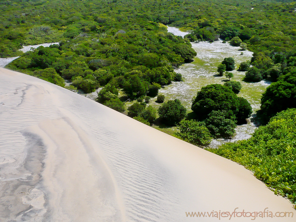 Tibau do Sul 1000467