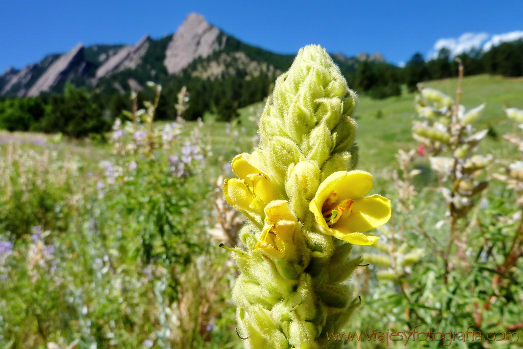 Flatirons Colorado 1