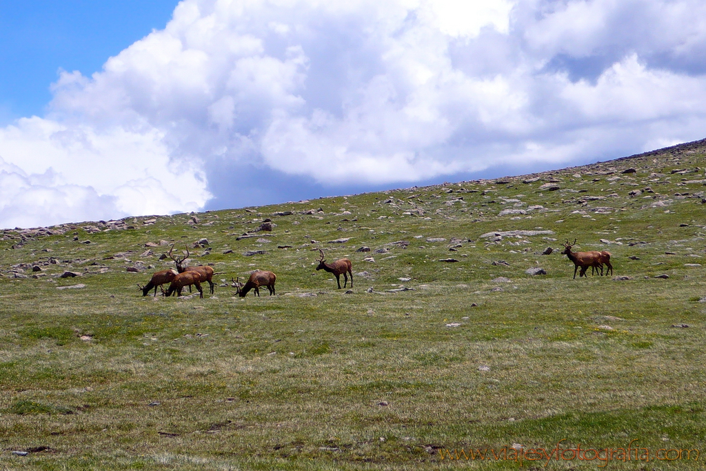 Rocky Mountains Colorado 13