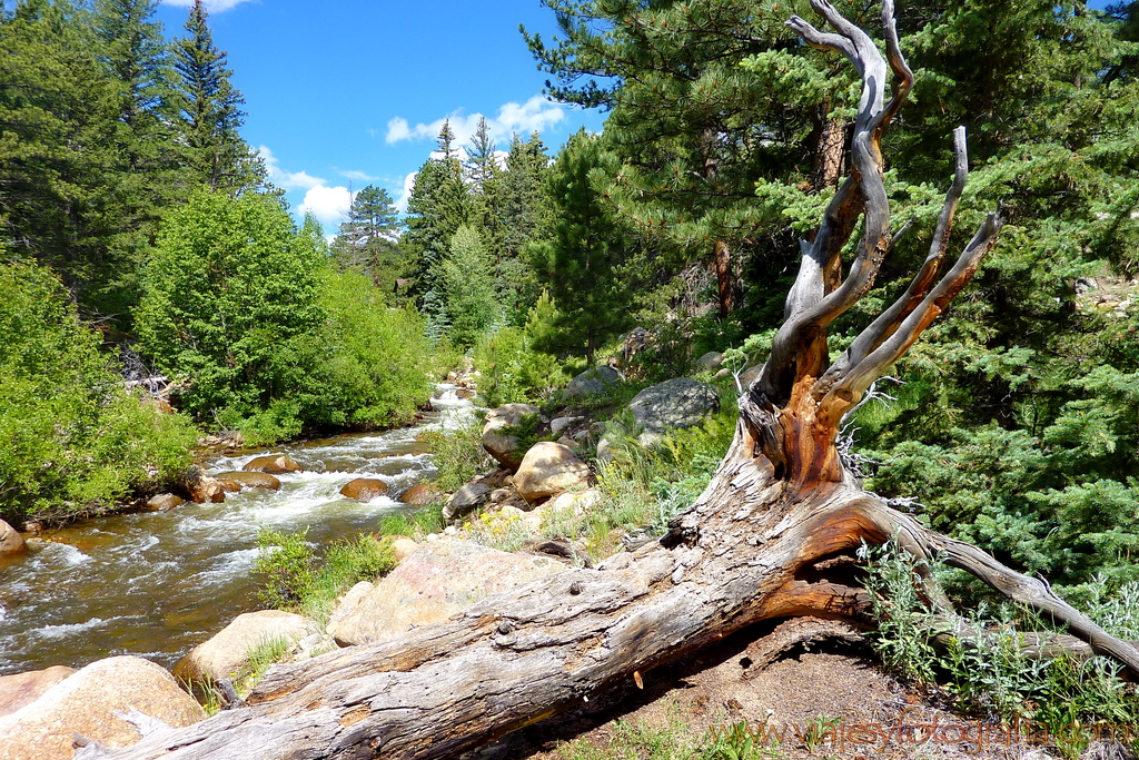 Rocky Mountains Moraine Park Colorado 6