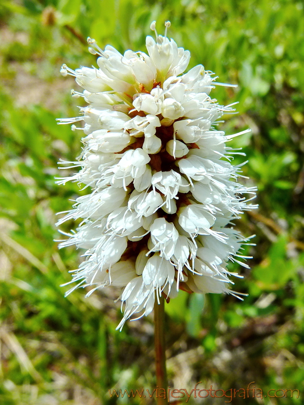 Rocky Mountains Trail Ridge Colorado 25