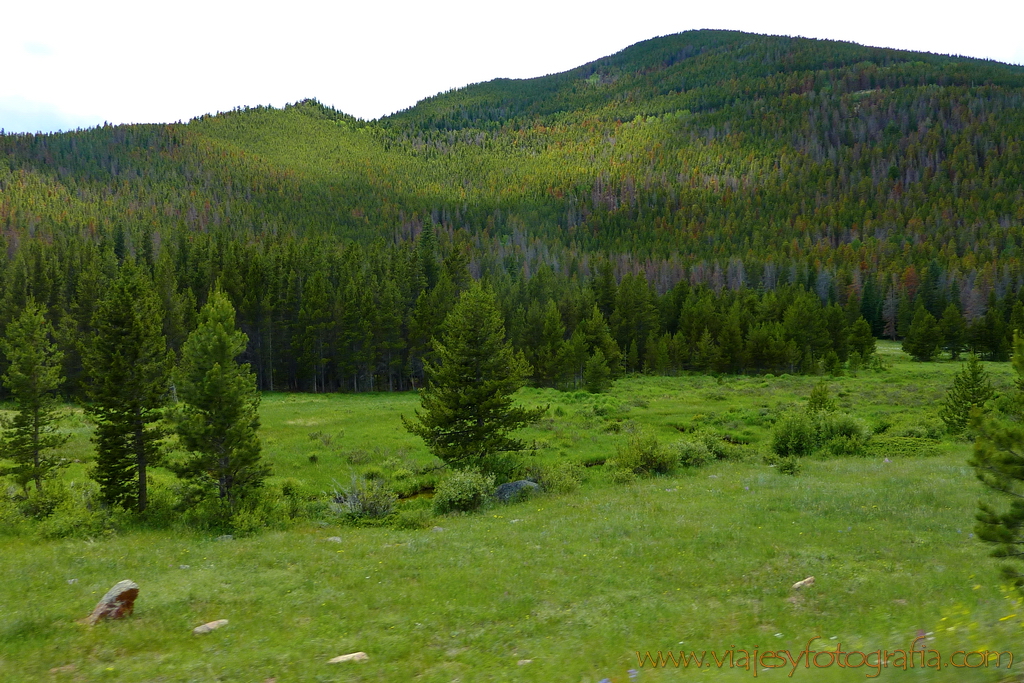 Rocky Mountains Trail Ridge Colorado 4