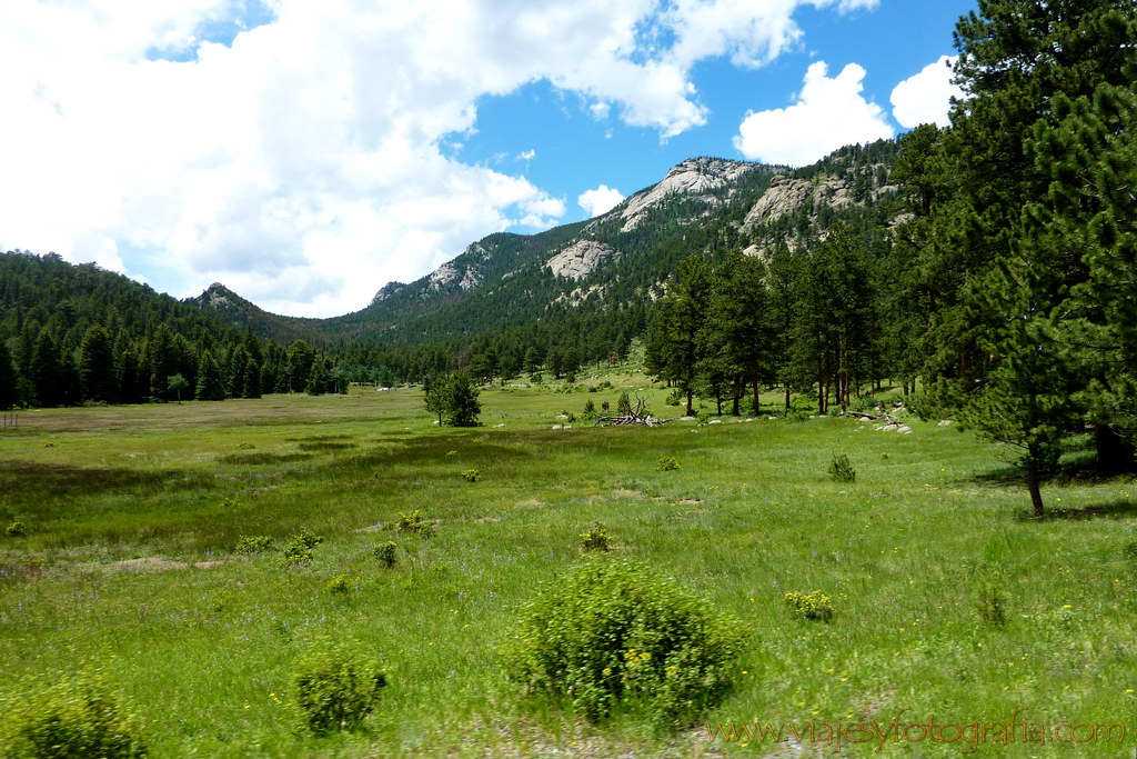 Rocky Mountains Trail Ridge Colorado 24