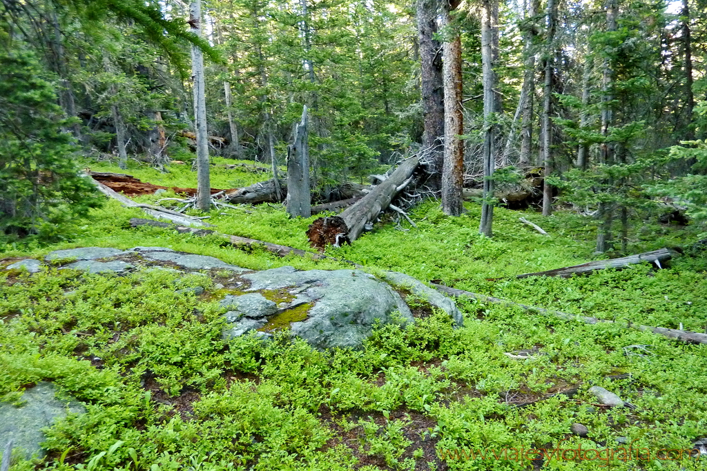 Rocky Mountains Bear Lake Colorado 23