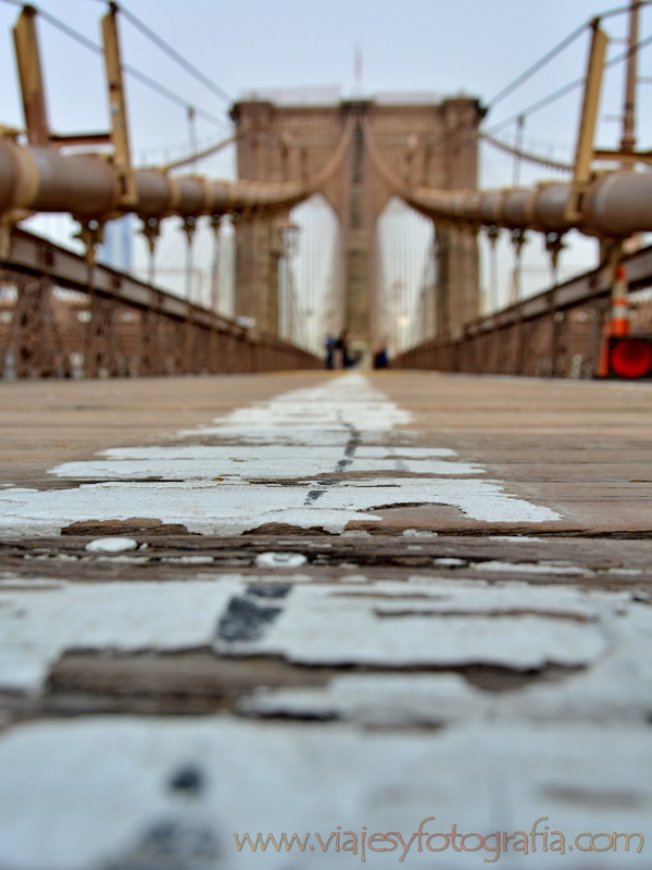 Puente de Brooklyn 6