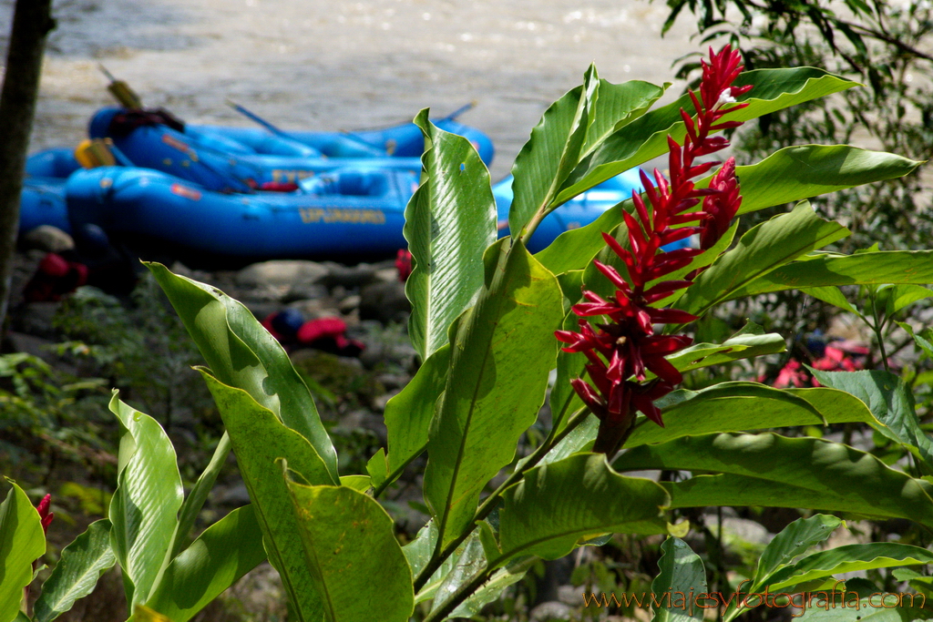 Rafting en el Pacuare Costa Rica 16