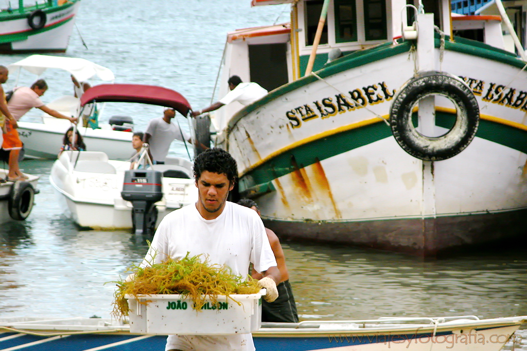 Ilha Grande Brasil 7