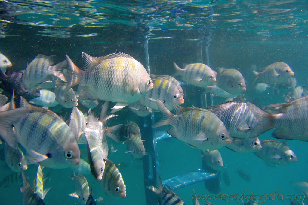 Paraty Brasil 13