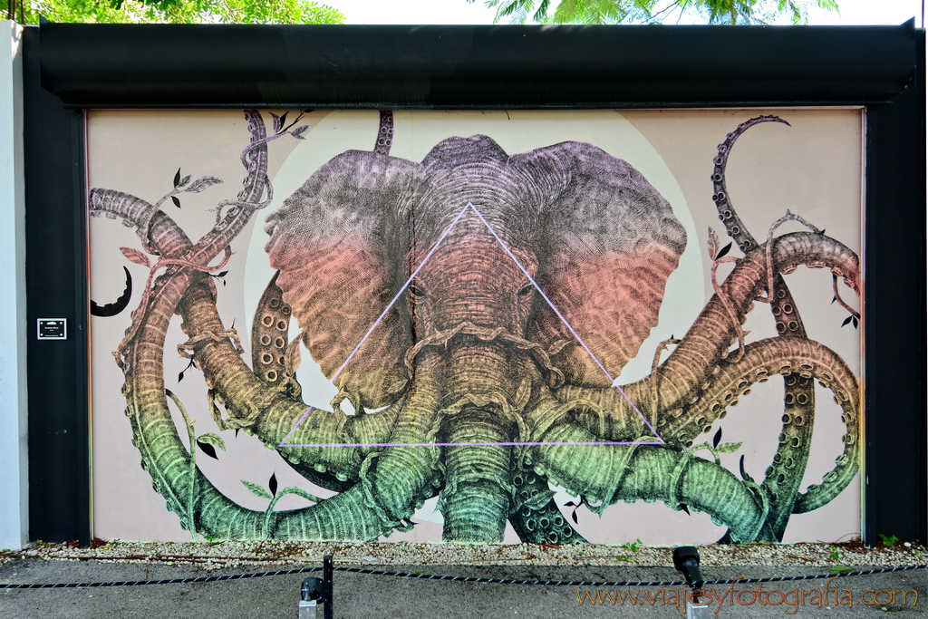 Wynwood Walls 2371