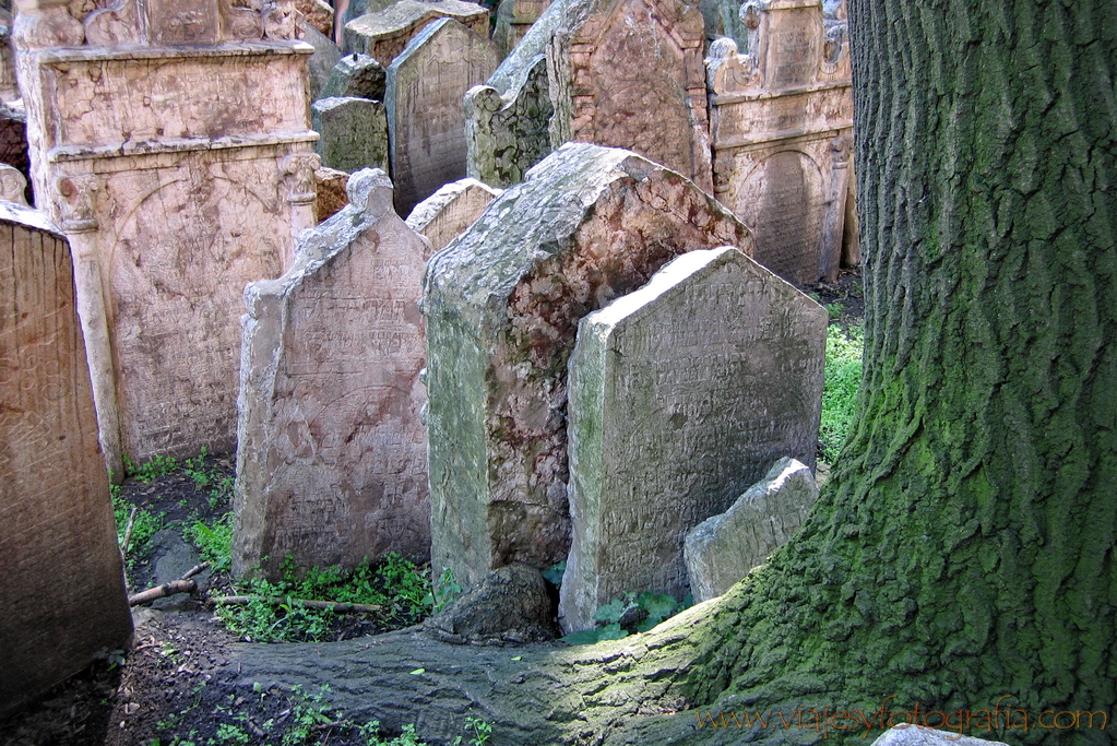 Josefov cementerio judio de Praga 27
