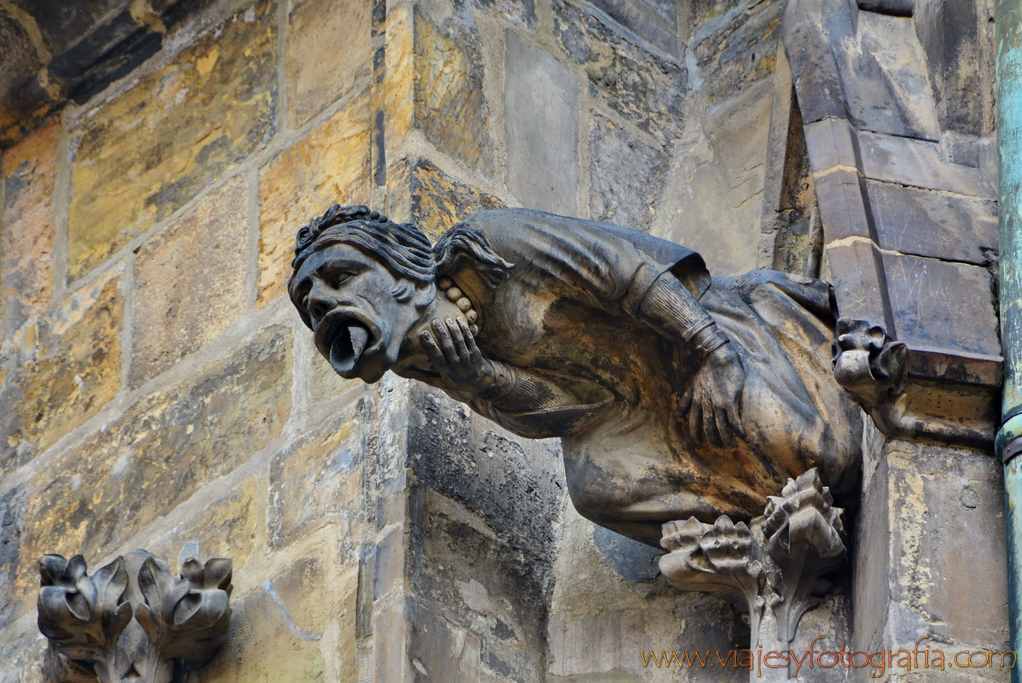 Catedral de San Vito Praga 6