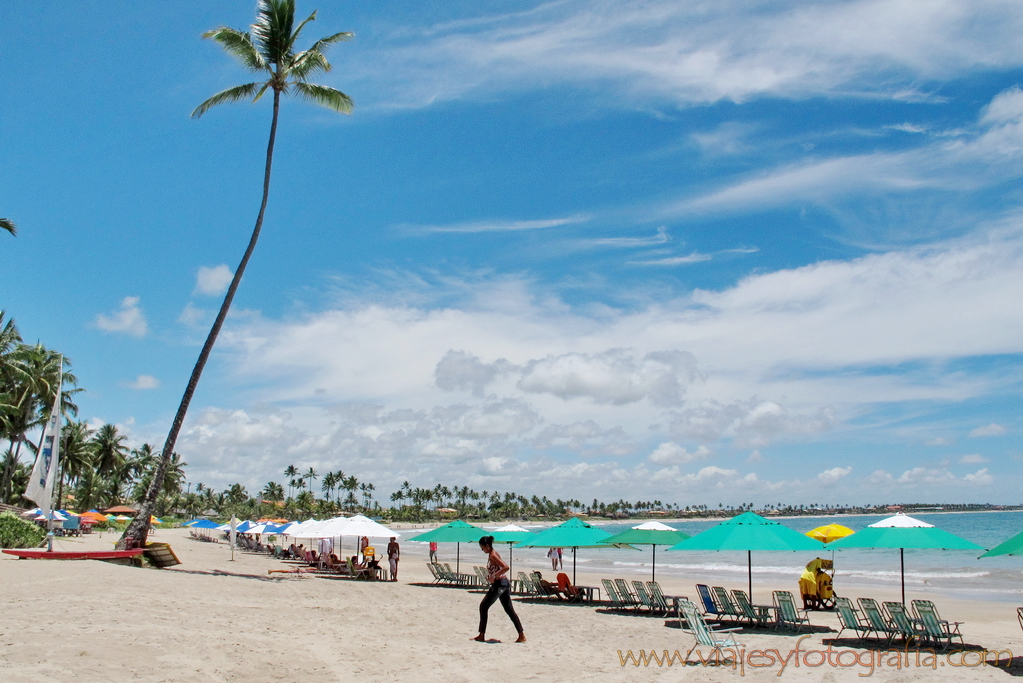 Porto de Galinhas 05