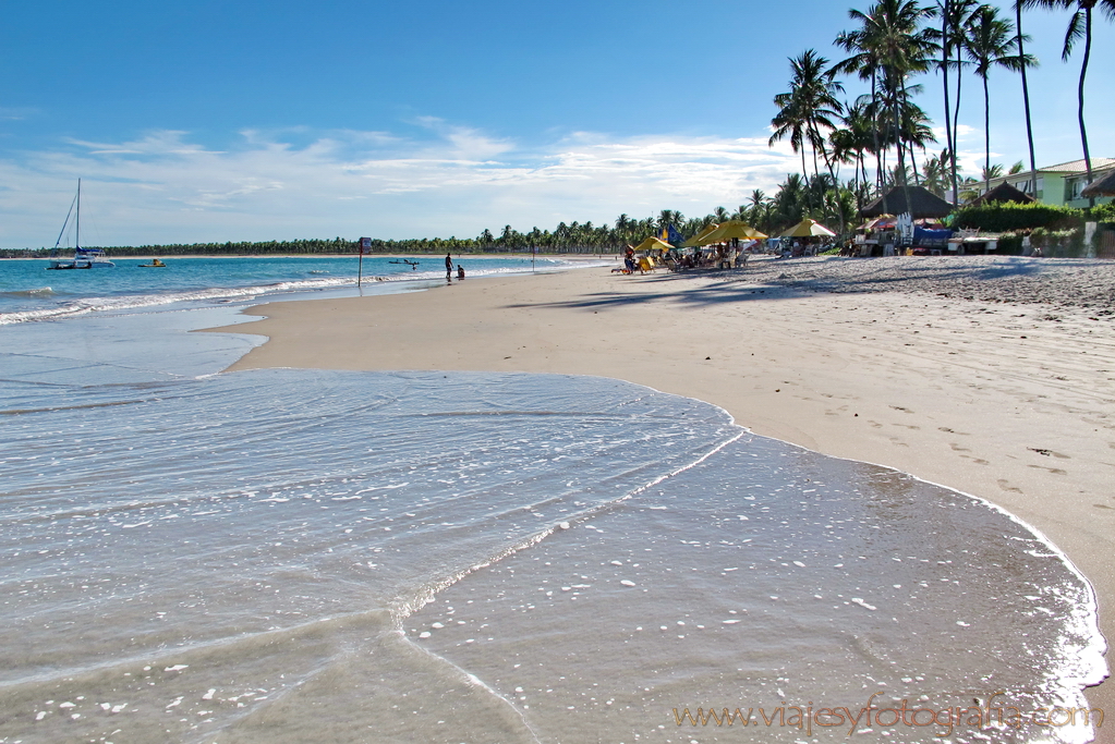 Porto de Galinhas 35